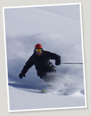 ski backcountry with tdc